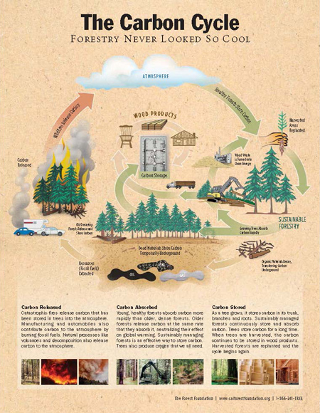 Forest & Climate Change