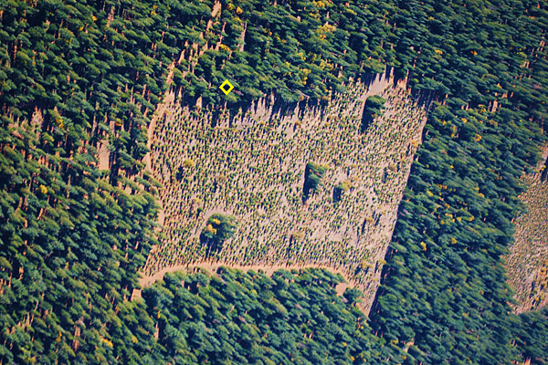 Down To Earth at 2,500 feet